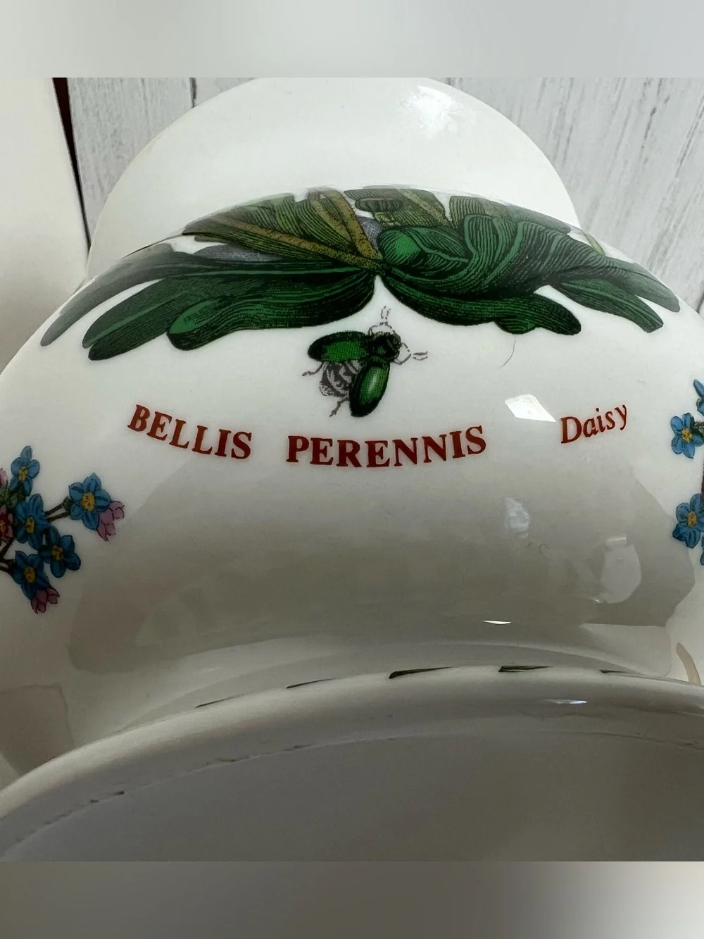 Botanical Floral Ceramic Dish with Daisies for Burning Scented Wax